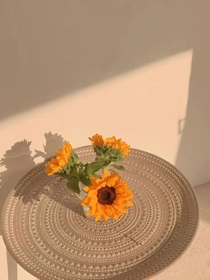 慈溪师桥农贸市场站街pc版N53.90.56下载